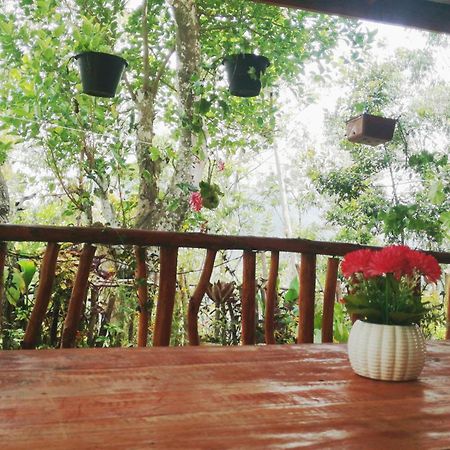 Deneth Homestay Ella Ngoại thất bức ảnh